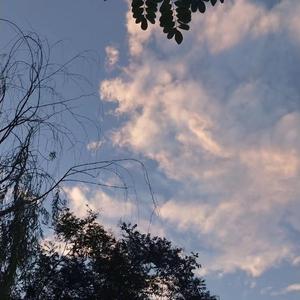 啪啪啪啪啪啪啪
