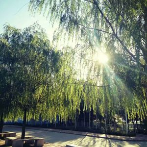 啪啪啪啪啪啪啪
